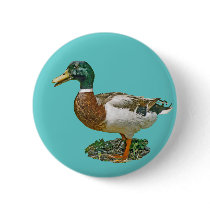 Mallard Duck buttons