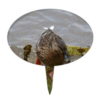 Mallard Ducks Cake Toppers | Zazzle