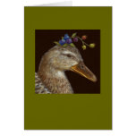 Mallard duck card