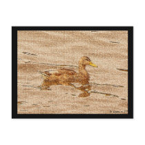 Mallard Duck © copyright 2009 S.J. postcards by scottsjazz Mallard Duck © copyright 2009 S.J. postcards
