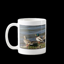 Mallard duck couple mug mugs