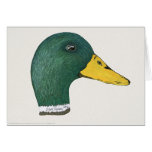 Mallard Duck (Drake), Watercolor cards