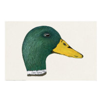 Mallard Duck (Drake), Watercolor Print