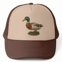 Mallard Duck Gift Hat