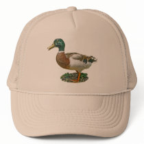 Mallard Duck hats
