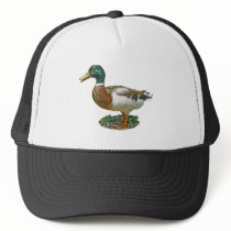 Mallard Duck hats