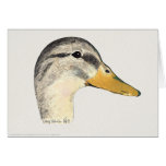 Mallard Duck (Hen), Watercolor cards