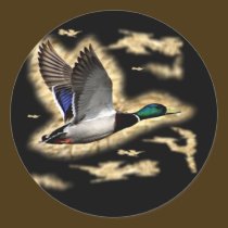 Mallard Duck Hunting stickers