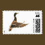 Mallard Duck in Flight