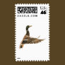Mallard Duck in Flight