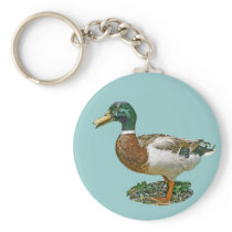 Mallard Duck keychains