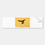 Mallard Duck Landing On Water Bumper Stickers
