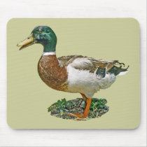 Mallard Duck mousepads