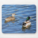 Mallard Duck Pairs Symbolize Love and Commitment mousepads