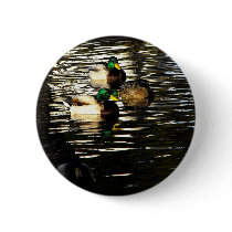 Mallard Duck Pond buttons