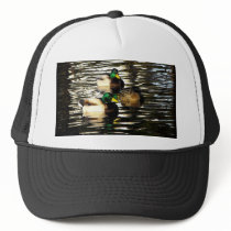 Mallard Duck Pond hats