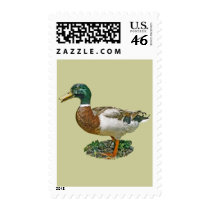 Mallard Duck stamps