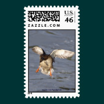 Mallard Duck Postage Stamp stamps