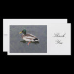 Mallard Duck - Thank You photo cards