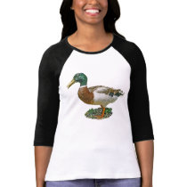 Mallard Duck t-shirts