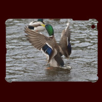 Mallard Duck Wildlife Photo iPad Mini Case ipad mini cases