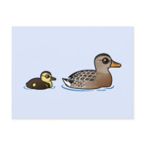 Mallard & duckling postcard