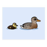 Mallard & duckling Postcard