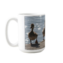 Mallard Ducklings Mug by farmer77 Mallard Ducklings Mug