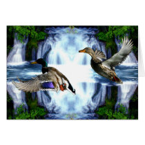 Mallard ducks card