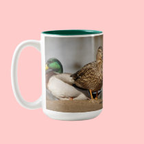 Mallard Ducks Green Mug