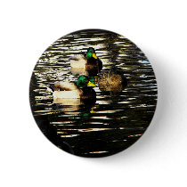 Mallard Ducks in a Pond buttons