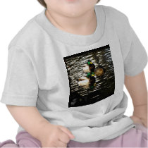 Mallard Ducks in a Pond t-shirts