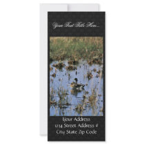 Mallard ducks in a Wetland Rack Card