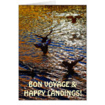 MALLARD DUCKS Landing Traveler Photo Greeting Card