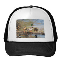 Mallard Ducks hats