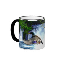 Mallard ducks mug