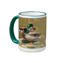 Mallard Ducks Mug