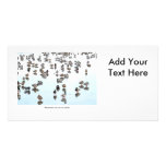 Mallard Ducks on a Frozen Pond Personalized Photo Card