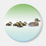 Mallard & five ducklings fridge magnets