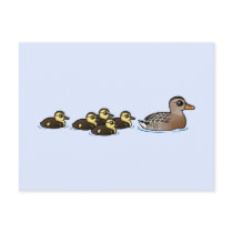 Mallard & five ducklings postcards