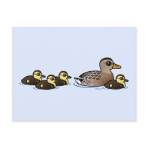 Mallard & four ducklings post card