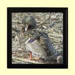 Mallard-Hen Monroe gift boxes