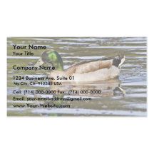 Mallard Hybrid Business Cards