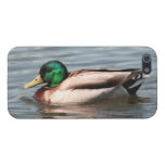 Mallard iPhone Cover - Savvy iPhone 5 Case