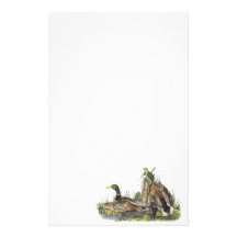 Mallard, John Audubon Custom Stationery