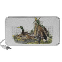 Mallard, John Audubon iPod Speakers