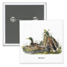 Mallard, John Audubon Pins