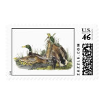 Mallard, John Audubon Stamp