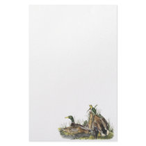 Mallard, John Audubon Custom Stationery
