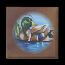 Mallard magnets